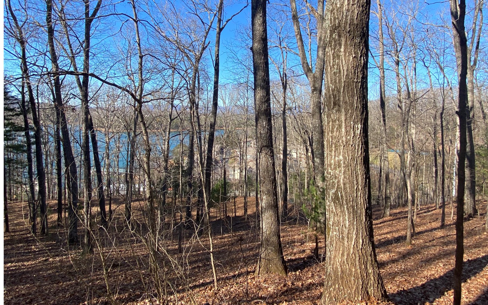 & North Carolina Real Estate The Mountain Life Real Estate